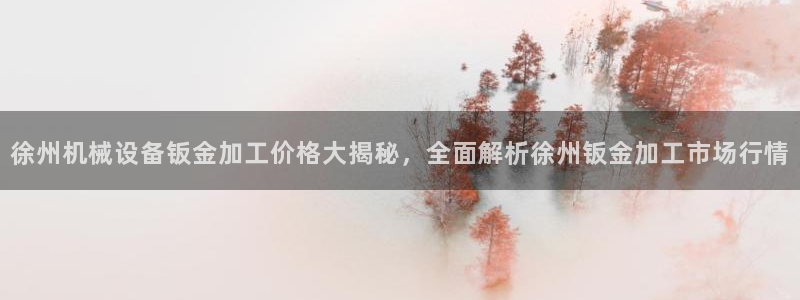 杏盛开户地址：徐州机械设备钣金加工价格大揭秘，全面解析徐州钣金加工市场行情