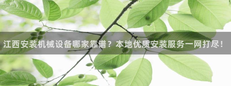 杏盛注册登录：江西安装机械设备哪家靠谱？本地优质安装服务一网打尽！