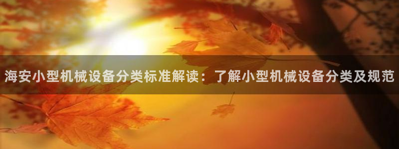 杏盛平台：海安小型机械设备分类标准解读：了解小型机械设备分类及规范