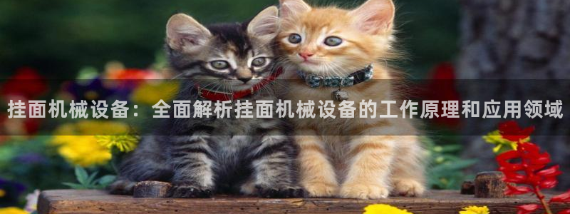 杏盛平台登陆地址：挂面机械设备：全面解析挂面机械设备的工作原理和应用领域