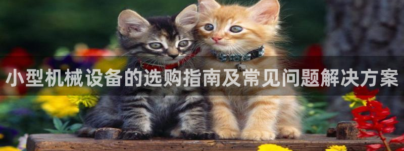 杏盛东24 35 53：小型机械设备的选购指南及常见问题解决方案