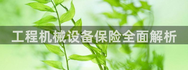杏盛平台主管：工程机械设备保险全面解析