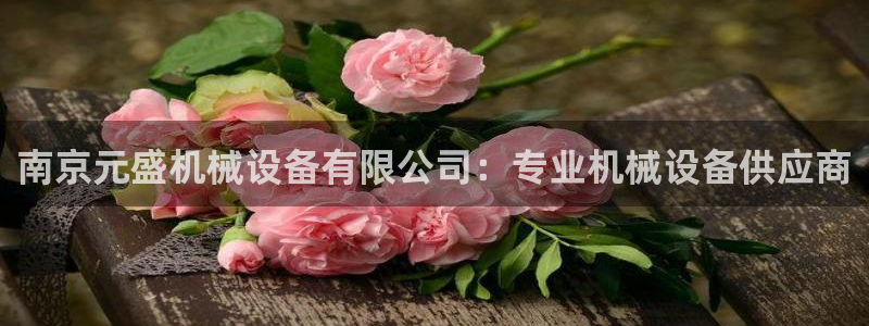 杏盛平台主管：南京元盛机械设备有限公司：专业机械设备供应商
