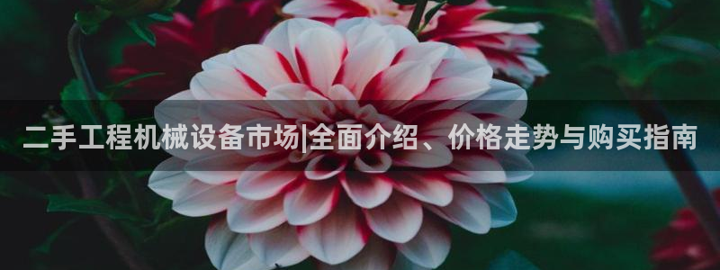 杏盛娱乐代理：二手工程机械设备市场|全面介绍、价格走势与购买指南