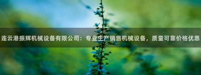 杏盛平台代理：连云港振辉机械设备有限公司：专业生产销售机械设备，质量可靠价格优惠