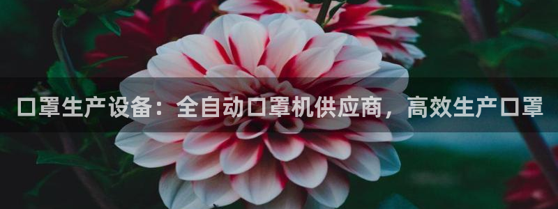 杏盛平台官网注册：口罩生产设备：全自动口罩机供应商，高效生产口罩