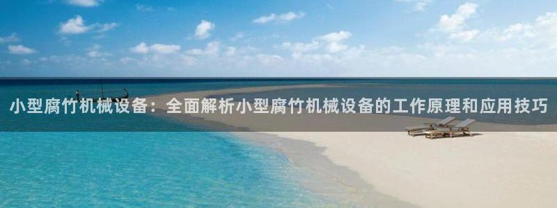 杏盛平台开户 贴吧：小型腐竹机械设备：全面解析小型腐竹机械设备的工作原理和应用技