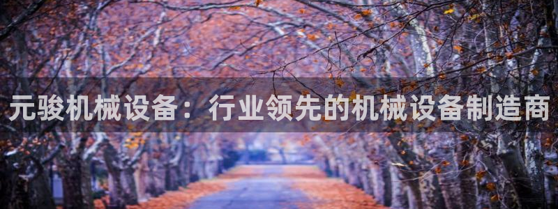 杏盛官网：元骏机械设备：行业领先的机械设备制造商