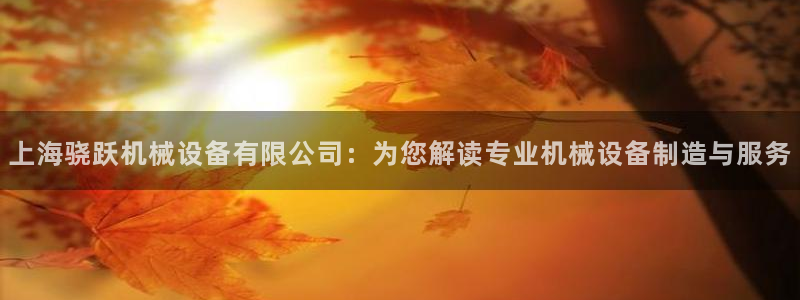 杏盛平台官网：上海骁跃机械设备有限公司：为您解读专业机械设备制造与服务