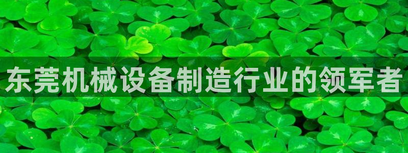 杏盛app下载：东莞机械设备制造行业的领军者