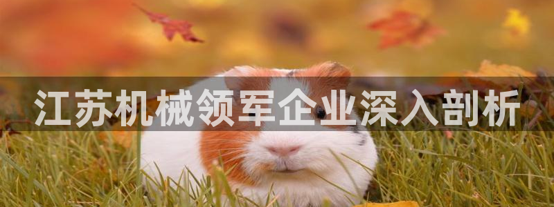 杏盛平台开户 贴吧：江苏机械领军企业深入剖析