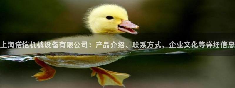 杏盛平台官网：上海诺恺机械设备有限公司：产品介绍、联系方式、企业文化等详细信息