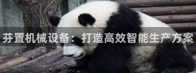 杏盛平台登录：芬置机械设备：打造高效智能生产方案