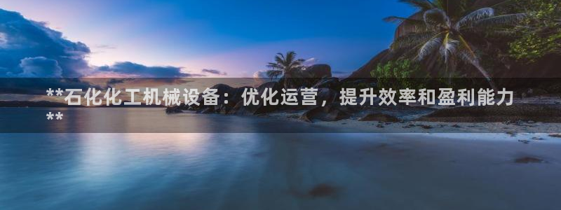 杏盛代理：**石化化工机械设备：优化运营，提升效率和盈利能力
**