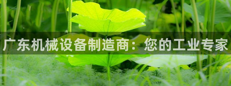 杏盛平台代理注册：广东机械设备制造商：您的工业专家