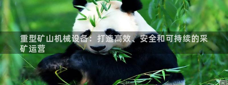 杏盛代理