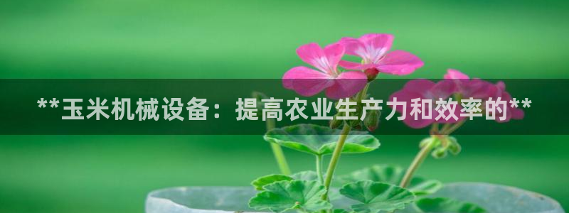 杏盛官网：**玉米机械设备：提高农业生产力和效率的**