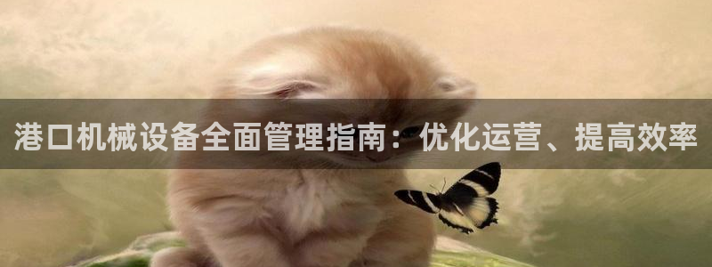 杏盛官网登录：港口机械设备全面管理指南：优化运营、提高效率