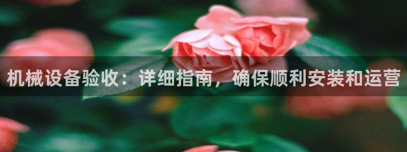 杏盛注册登录：机械设备验收：详细指南，确保顺利安装和运营