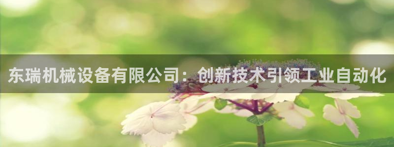 杏盛平台代理：东瑞机械设备有限公司：创新技术引领工业自动化