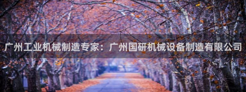 杏盛平台：广州工业机械制造专家：广州国研机械设备制造有限公司