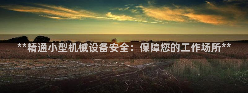 杏盛官网：**精通小型机械设备安全：保障您的工作场所**