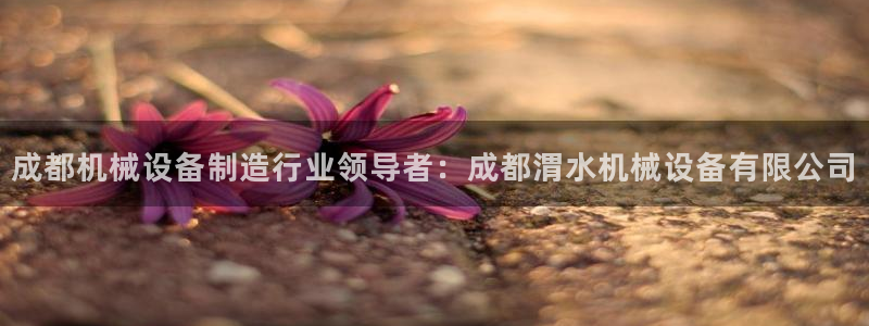 杏盛平台代理注册：成都机械设备制造行业领导者：成都渭水机械设备有限公司