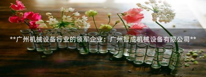 杏盛平台上级：**广州机械设备行业的领军企业：广州智成机械设备有限公司**