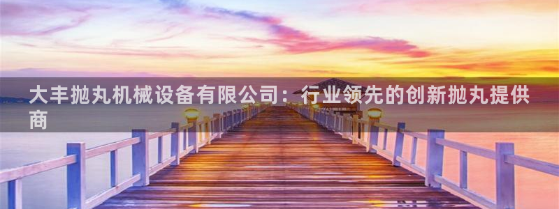 杏盛娱乐代理：大丰抛丸机械设备有限公司：行业领先的创新抛丸提供
商