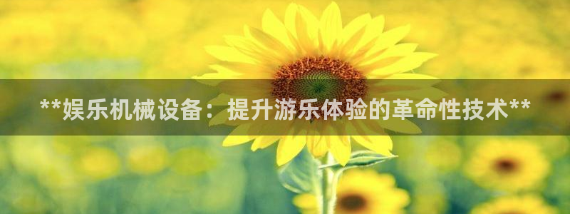 杏盛平台主管：**娱乐机械设备：提升游乐体验的革命性技术**