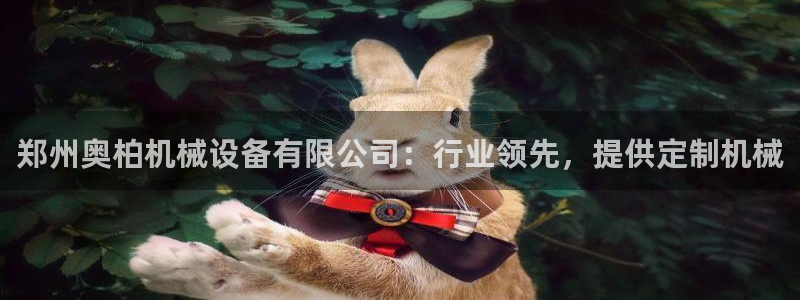 杏盛平台主管：郑州奥柏机械设备有限公司：行业领先，提供定制机械