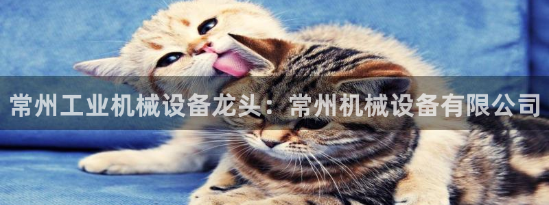 杏盛平台上级：常州工业机械设备龙头：常州机械设备有限公司