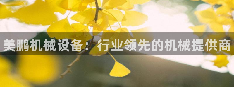 杏盛平台注册登录：美鹏机械设备：行业领先的机械提供商