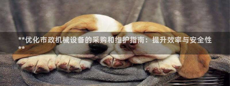 杏盛平台官网注册：**优化市政机械设备的采购和维护指南：提升效率与安全性
**