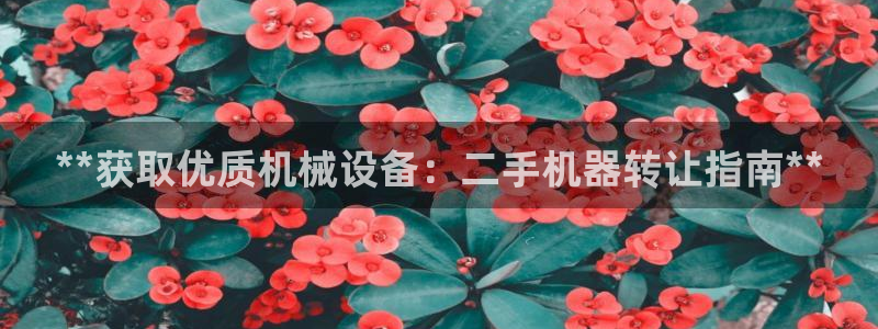 杏盛平台登陆地址：**获取优质机械设备：二手机器转让指南**