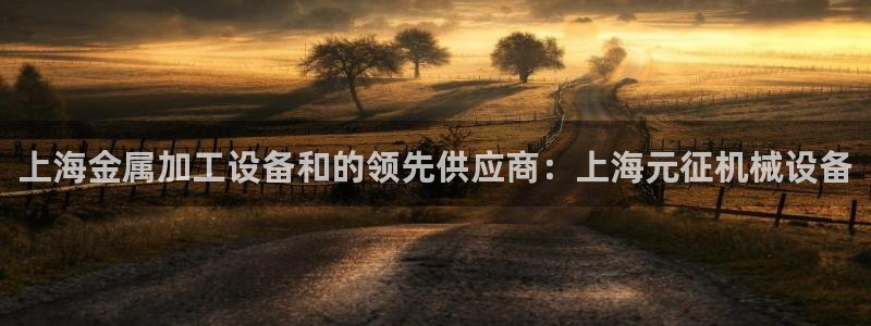 杏盛平台登陆地址：上海金属加工设备和的领先供应商：上海元征机械设备