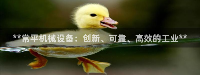 杏盛平台登陆：**常平机械设备：创新、可靠、高效的工业**