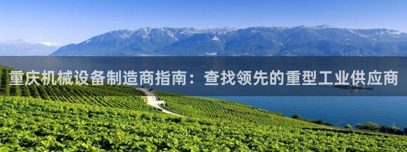 杏盛平台注册登录：重庆机械设备制造商指南：查找领先的重型工业供应商