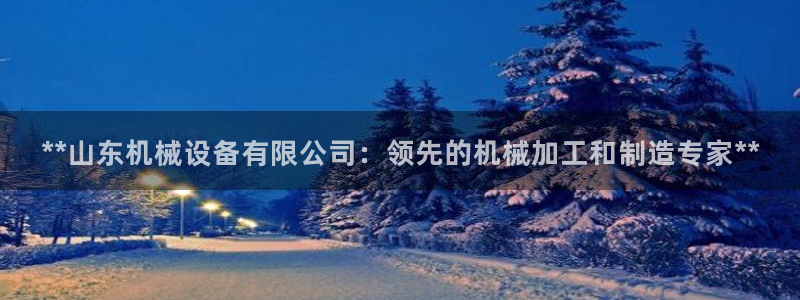杏盛平台开户：**山东机械设备有限公司：领先的机械加工和制造专家**