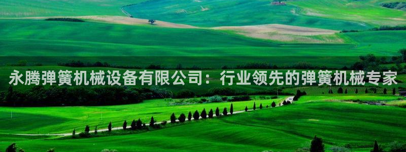 杏盛平台登录地址：永腾弹簧机械设备有限公司：行业领先的弹簧机械专家