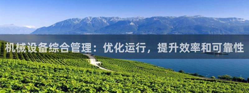 杏盛平台登陆地址：机械设备综合管理：优化运行，提升效率和可靠性