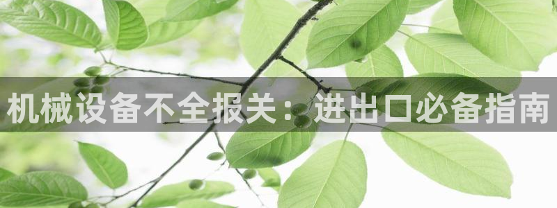 杏盛平台代理注册：机械设备不全报关：进出口必备指南