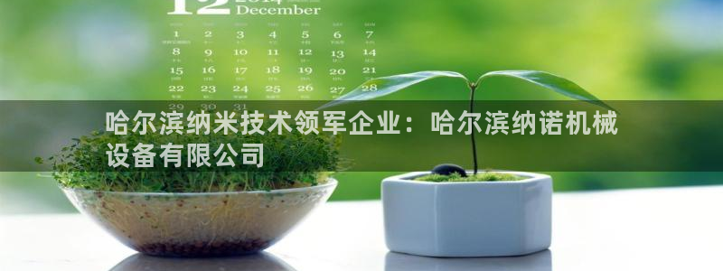 杏盛东24 35 53：哈尔滨纳米技术领军企业：哈尔滨纳诺机械
设备有限公司