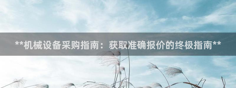 杏盛注册登录：**机械设备采购指南：获取准确报价的终极指南**