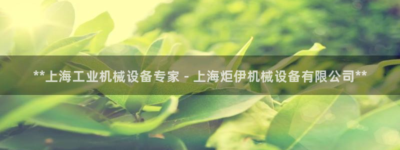 杏盛平台开户 贴吧：**上海工业机械设备专家 - 上海炬伊机械设备有限公司**