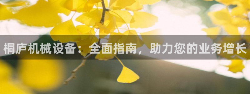 杏盛乐岳35994誓：桐庐机械设备：全面指南，助力您的业务增长