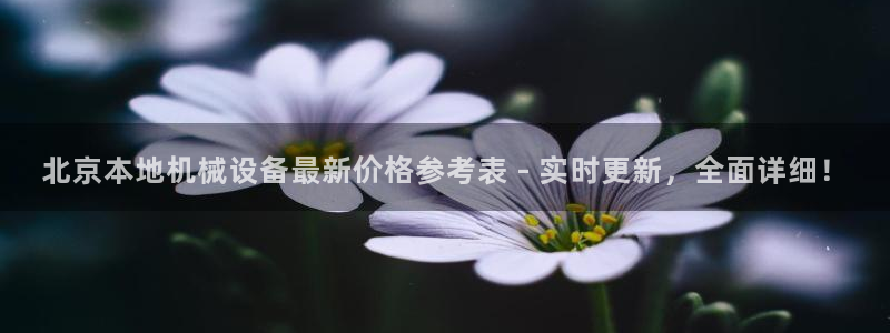 杏盛平台开户 贴吧：北京本地机械设备最新价格参考表 - 实时更新，全面详细！