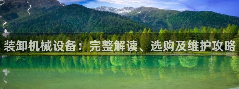杏盛平台代理：装卸机械设备：完整解读、选购及维护攻略