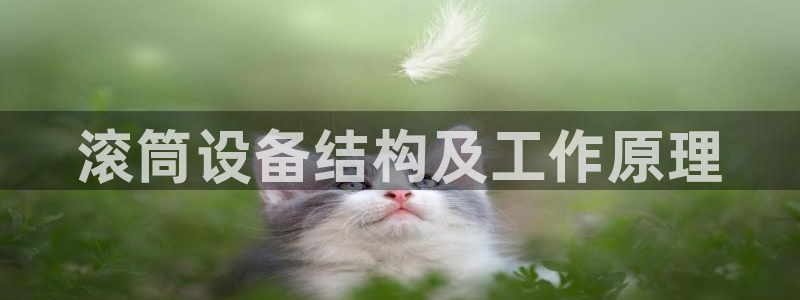 杏盛官方平台：滚筒设备结构及工作原理