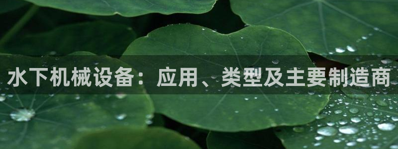 杏盛官网：水下机械设备：应用、类型及主要制造商